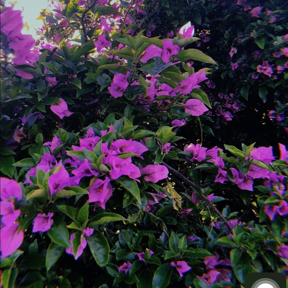 __maacloset__